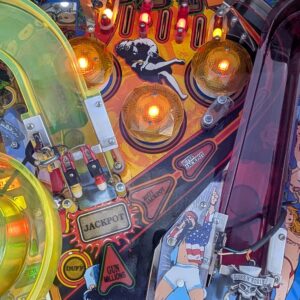 Guns N Roses Flipper Pinball Data East (gebraucht)